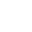 Fast 100